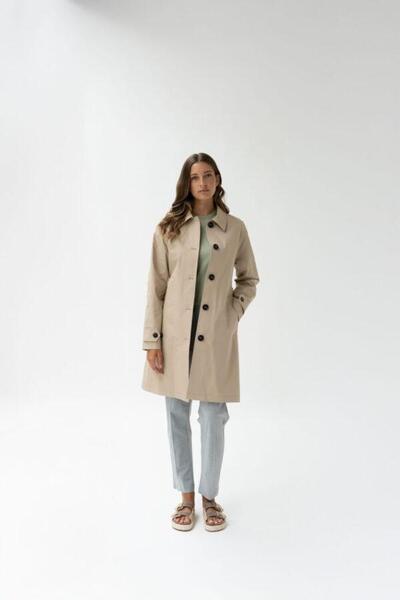 Gallery a09452 fsbnifs5